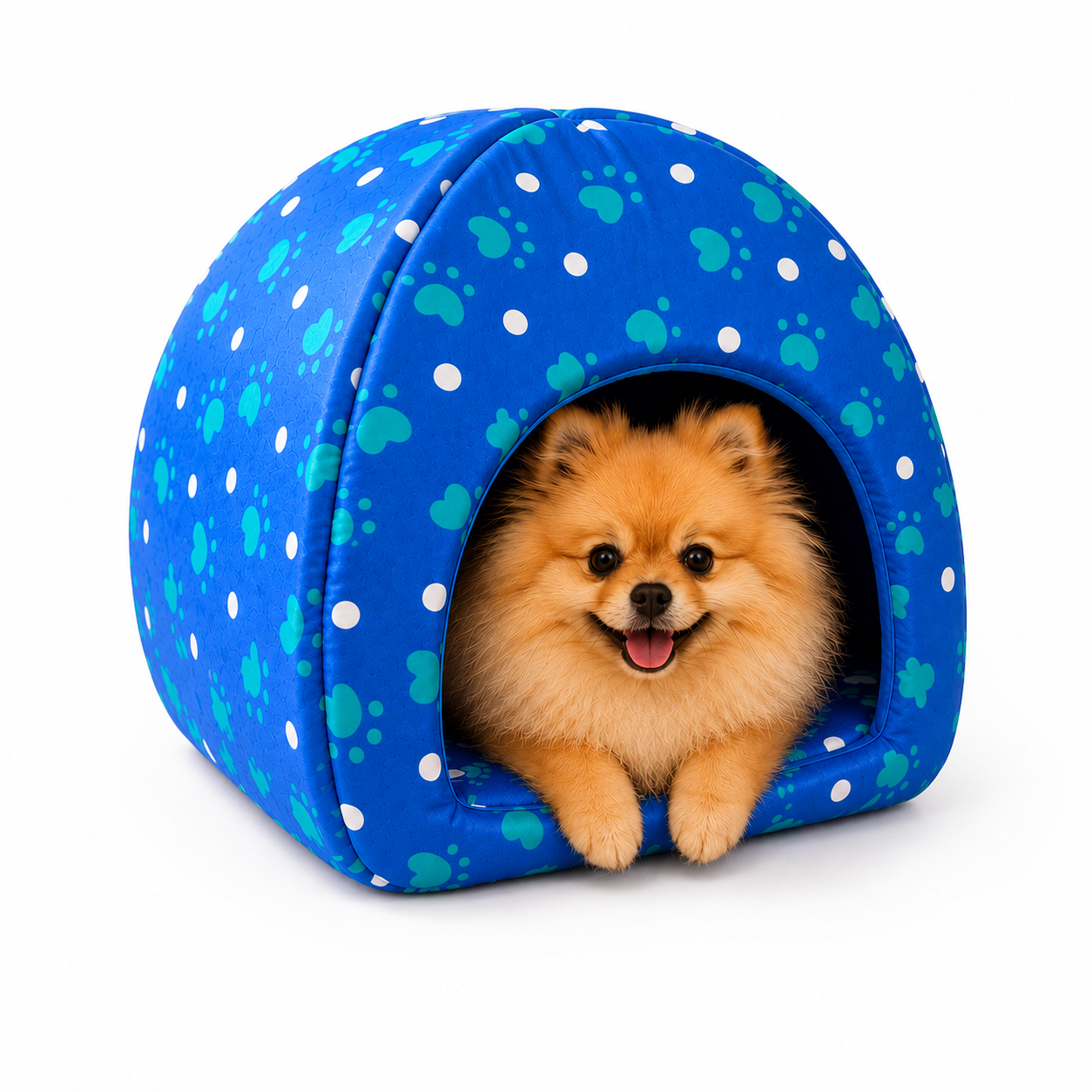 Casinha gato e Cachorro