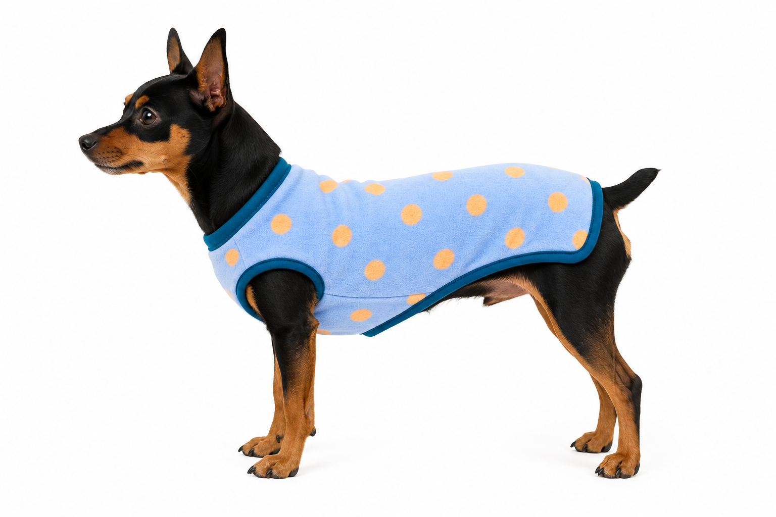 Roupa Para PET